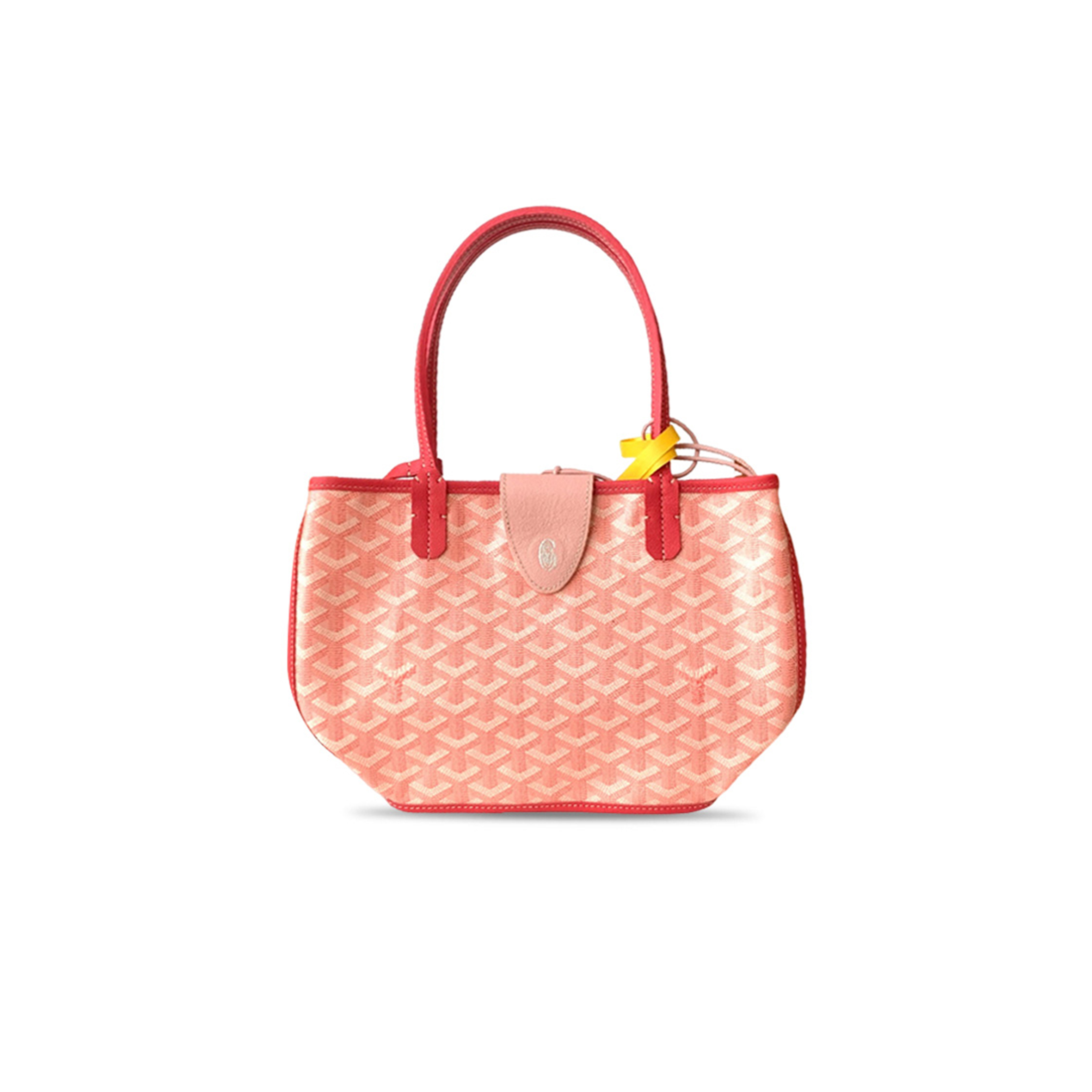 GOYARD ANJOU MINI BAG (20*20*10cm)